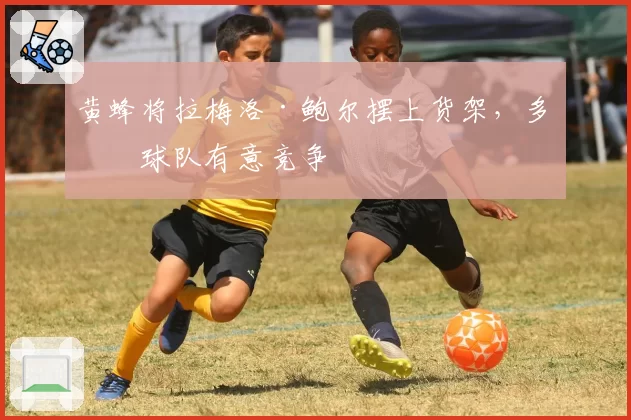 黄蜂将拉梅洛·鲍尔摆上货架,多支球队有意竞争