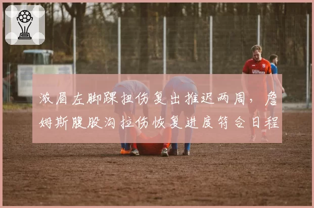 浓眉左脚踝扭伤复出推迟两周，詹姆斯腹股沟拉伤恢复进度符合日程