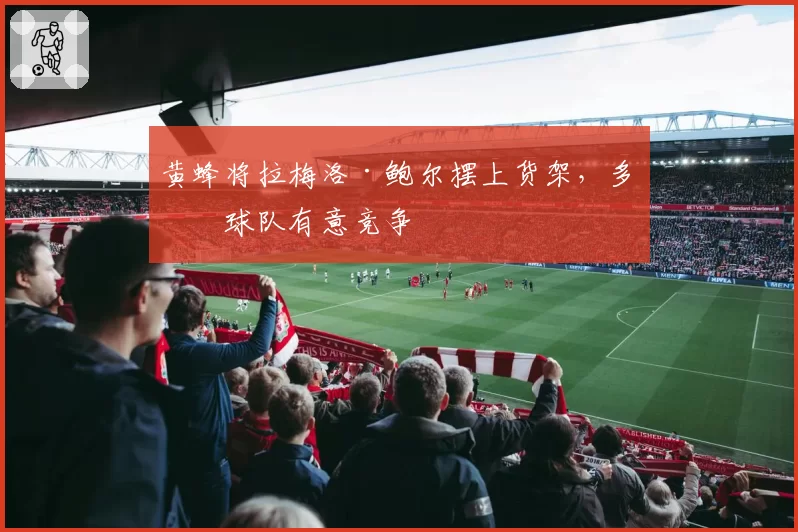 黄蜂将拉梅洛·鲍尔摆上货架，多支球队有意竞争